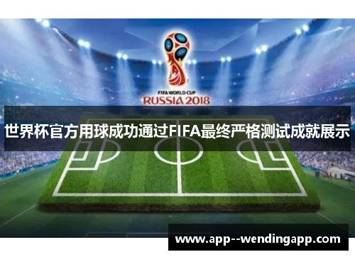 世界杯官方用球成功通过FIFA最终严格测试成就展示 世界杯官方用球成功通过FIFA最终严格测试成就展示