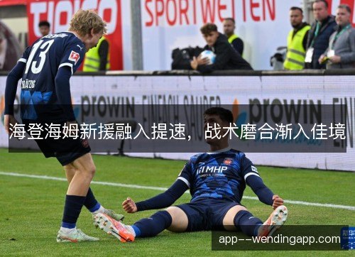 海登海姆新援融入提速，战术磨合渐入佳境
